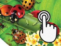 Ladybug Clicker image