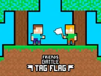 Friends Battle Tag Flag image