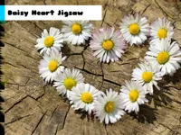 Daisy Heart Jigsaw image